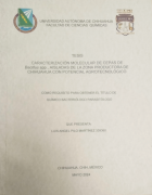 Imagen de cubierta local