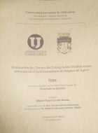 Imagen de cubierta local