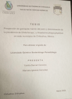 Imagen de cubierta local