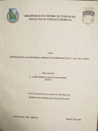 Imagen de cubierta local