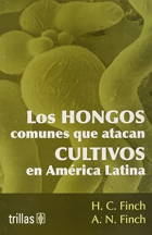 Imagen de cubierta local