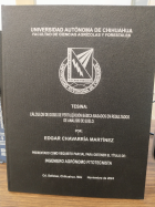 Imagen de cubierta local