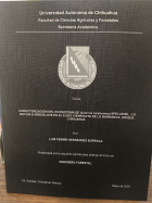 Imagen de cubierta local