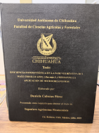 Imagen de cubierta local