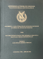 Imagen de cubierta local