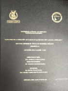 Imagen de cubierta local