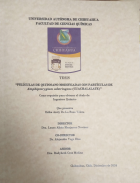 Imagen de cubierta local